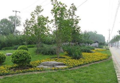 園林綠化工程的類別劃分與專業(yè)解析