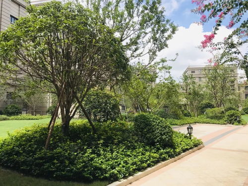 農(nóng)工商綠化工程項(xiàng)目喜獲“園林杯”雙獎殊榮